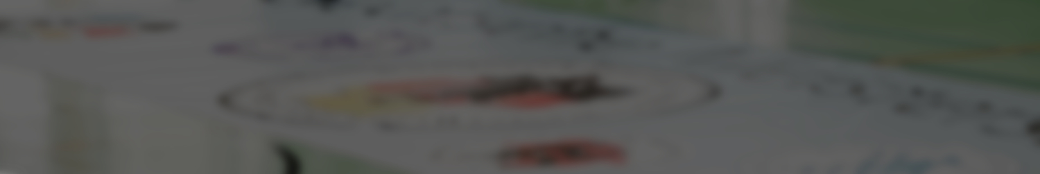 Ausbildung Bundesverband für Country Westerntanz Deutschland e. V.